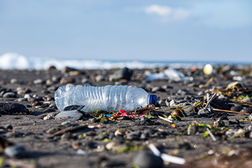 Pollution at beach 360x240